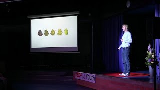 A New Explanation of Evolution | Tijn Leemhuis | TEDxJvL Youth
