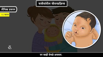 10वीं विज्ञान 2 | अध्याय#03 | विषय#04 | लैंगिक जन्म | मराठी माध्यम