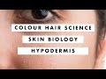 Colour Hair Science - Skin Biology - Hypodermis