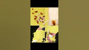Split Screen By Shahafbegerr IG 