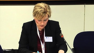 Introduction to development cooperation with particular reference to fragility - Denisa-Elena Ionete
