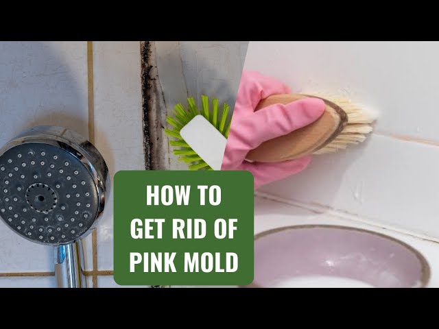 Pink Mould In Bathroom