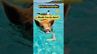 🌴 Bahamas Vacation Paradise | Crystal Clear Waters & Island Adventures