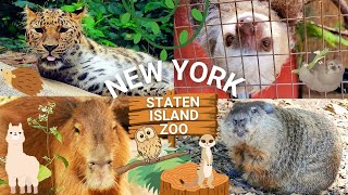 Arabian eläintarha 【アラビアの動物園】洋書 mqdefault.jpg