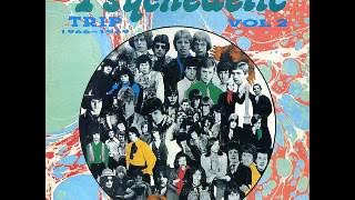 the british psychedelic trip vol 2