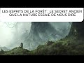 Le secret ancien caché dans les forêts#foret #mystere #nature #sagesse #spirituel