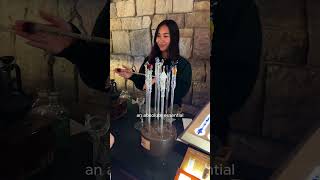 Paris made more magical by a quick trip to Disneyland Paris 💫