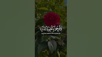 الله يبسط الرزق لمن يشاء ويقدر | تلاوة خاشعة | تلاوة هادئة تريح النفس