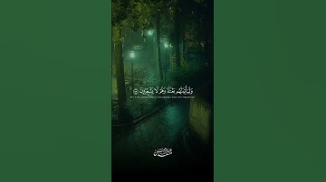 قران عبدالرحمن مسعد#قرآن #اكسبلور #تيك_توك #quran #fyp #عبدالرحمن_مسعد #القارئ #السعودية #لايك
