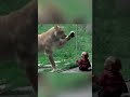 How Dangerous Animals Really Are 😯 #explore #wildlife #animals #scary #horror #trending #explore4all