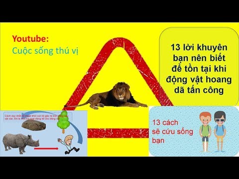 Video: 5 cách để sống sót sau cuộc tấn công của động vật