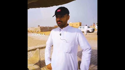 رياكشن السنة 😂 #تصميم #فالكونز #بندريتا #banderitax #اوبلز #دربحه #ترند #ترند_تيك_توك