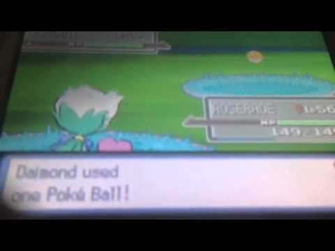 Catching darkrai with 1 pokemon no cheat or any thing