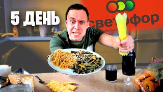 ЦАРСКИЙ ОБЕД из СВЕТОФОР 💣 ЖИВУ НЕДЕЛЮ НА ДЕШЕВЫХ ПРОДУКТАХ