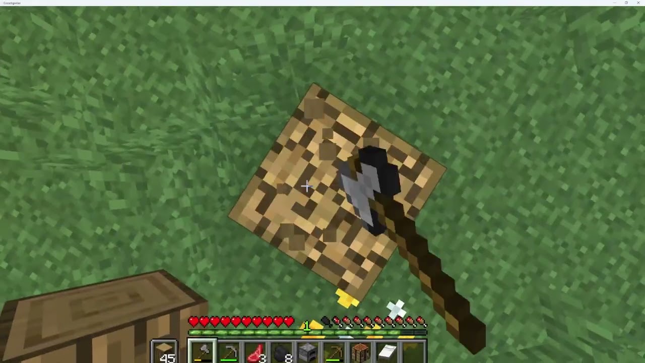 Ich baue mein erstes Haus-Mein Minecraft Project 2.0