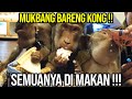 KONG BERUK RESCUE MUKBANG !!! LIHAT REAKSI KONG MAKAN NASI PADANG , SUSU STOBERI DAN ESKRIMM ???!!