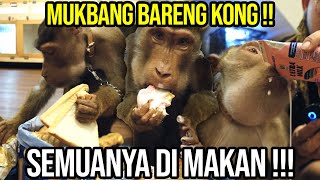 KONG BERUK RESCUE MUKBANG !!! LIHAT REAKSI KONG MAKAN NASI PADANG , SUSU STOBERI DAN ESKRIMM ???!!