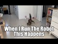 When I run the robot this happens