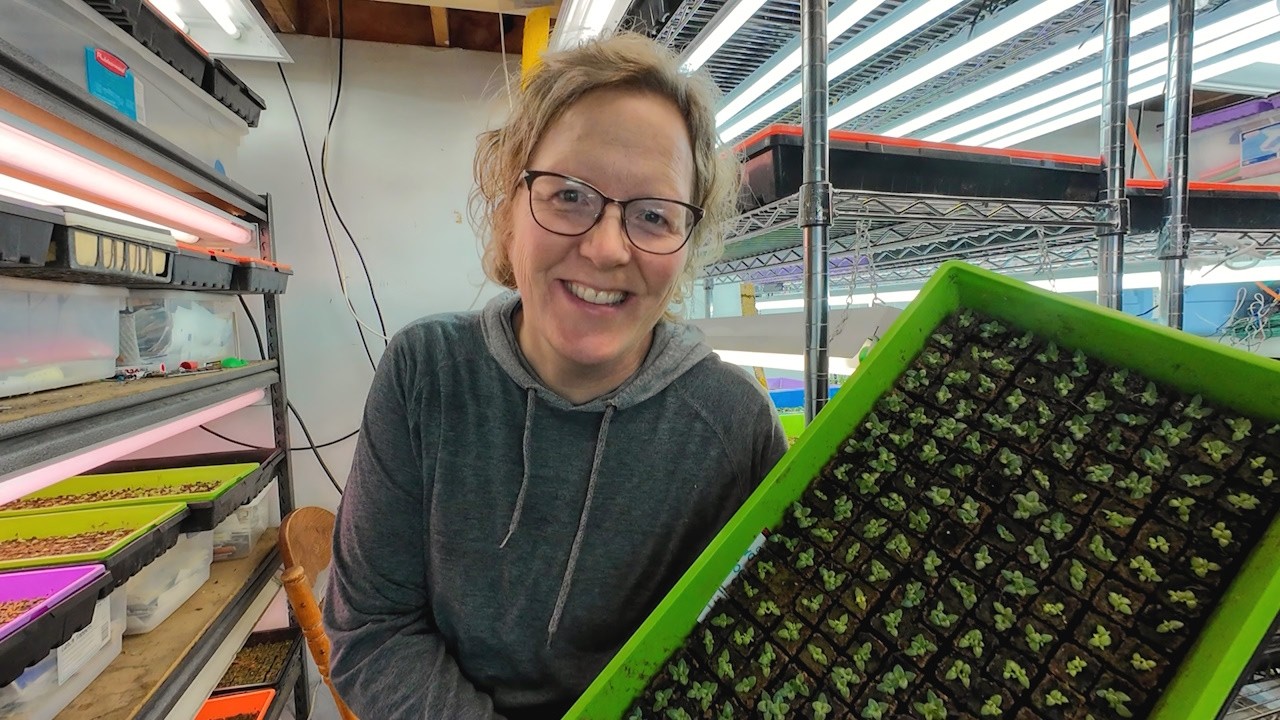 #51 My Seedling Room: New Lights and a Progress Report