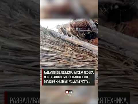 Две стороны одной медали:борьба Казахстана с последствиями паводков и ожесточенные судебные процессы