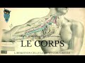 Le corps  la dernire libration du parcours douleurs schmas rptitifs fausses croyances etc