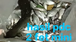 tes strum pdc 2 fet mini menggunakan batrai bekas !!! jangan di tiru😱😱