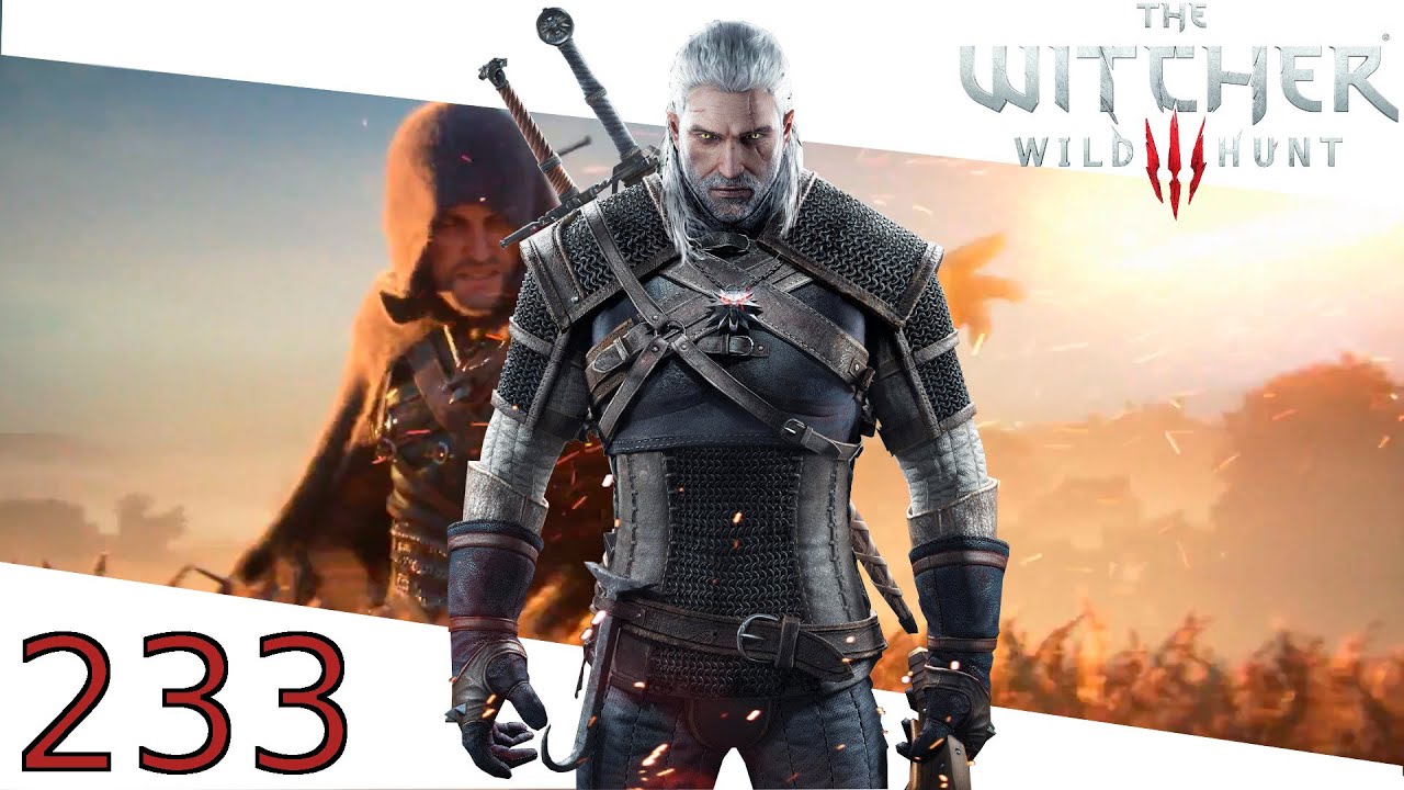 The Witcher 3 Novigrad Die Gesperrte Stadt 1 Witcher 3 #233 - Novigrad, die gesperrte Stadt - Let's Play The Witcher