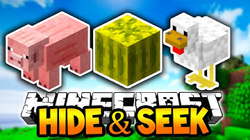 Minecraft HIDE and SEEK! (Block Hunt) w/Lachlan & PrestonPlayz