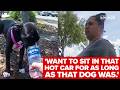 Bodycam shows puppy rescued from 92‑degree car; owner arrested