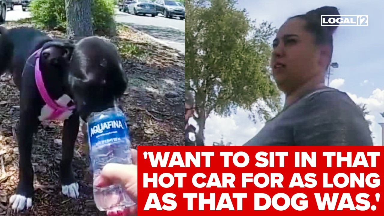 Bodycam shows puppy rescued from 92‑degree car; owner arrested - YouTube