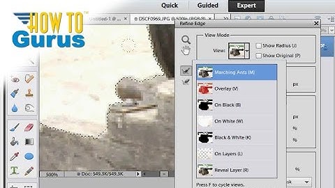 How to Adjust a Selection with Refine Edge Tool in Adobe Photoshop Elements 15 14 13 12 11 Tutorial