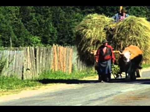 HAYMAKING WALTZ - Dancehall Boys