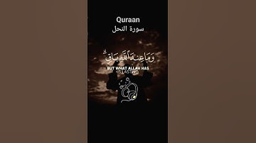 سورة النحل - عبد الرحمن مسعد - راحة نفسية #quran #سبحان_الله #راحة_نفسية #الحمدالله_علی_کل_حال