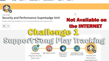 Security and Performance Superbadge Unit - Challenge 1 - Support Song Play Tracking