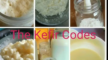 How to get Good Kefir Everytime. High grain to milk ratio! Raw Milk - Live Russian Grains