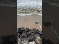 Unstoppable! #waves #beach #sea #ocean