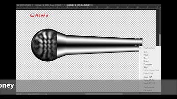 Mic 3D Object Creation using photoshop