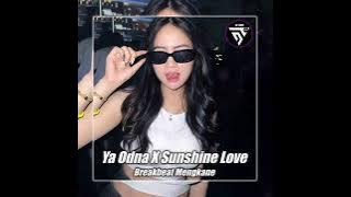 DJ YA ODNA X SUNSHINE LOVE BREAKBEAT