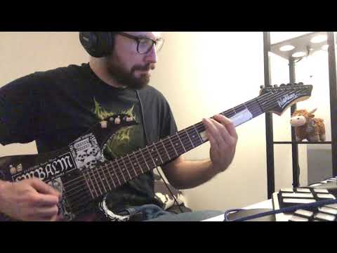 Disgorge - Deranged Epidemic (Guitar cover)