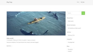 Novus Sidebar and Footer Widgets