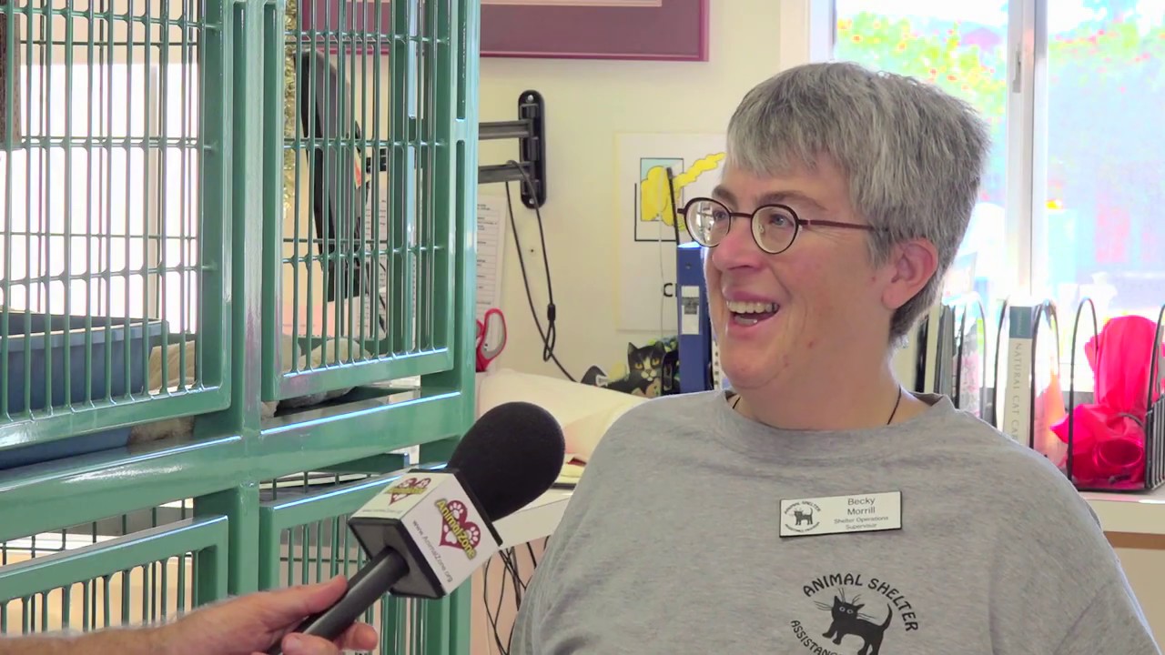 AnimalZone - Season 3, Episode 11 Featuring Shadow's Fund, Laura Stinchfield, ASAP & Wags n Whiskers