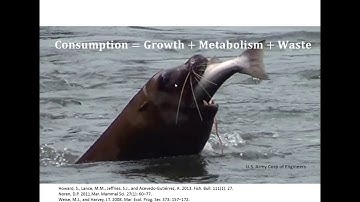 Tools for evaluating tradeoffs inherent in marine ecosystem-based management