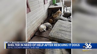 Estill County animal shelter asking for help from the community