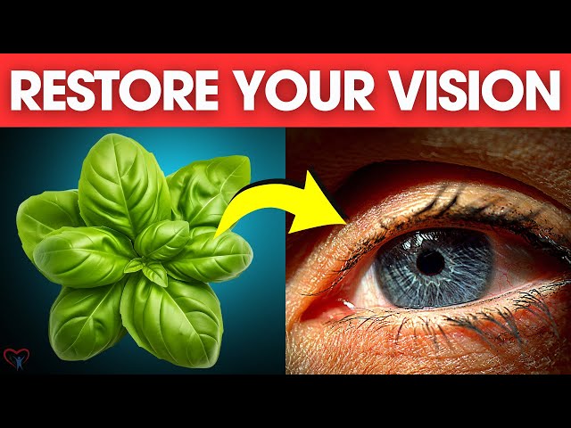 7 Miracle Herbs to Restore Your Vision After 50 – Don’t Let Your Eyesight Fade Away!