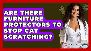 Are There Furniture Protectors To Stop Cat Scratching? - Ask A Pet Vet