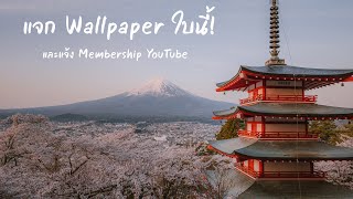 ประกาศเปิด YouTube Membership และแจก Wallpaper!