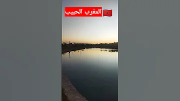 قادر الجابوني انت سبابي وجدة 