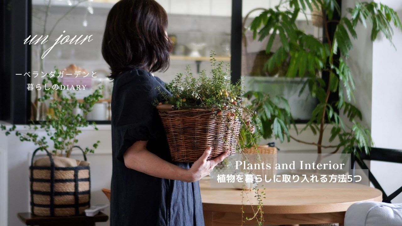 インテリアを引き立てる植物の取り入れ方飾り方｜植物でおしゃれに秋の模様替え｜植物と暮らす