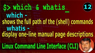 12 | which - path of the command | whatis- one line manual of command | Linux CLI