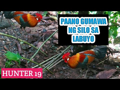 Video: Kung Paano Gumawa Ng Isang Bitag